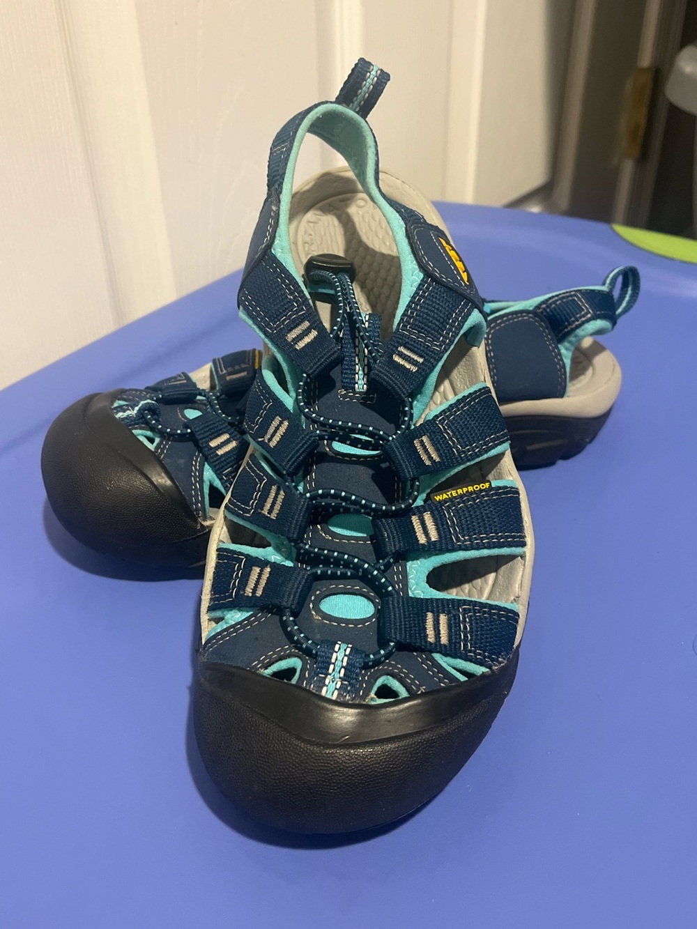 Women's Keen Newport Sandals